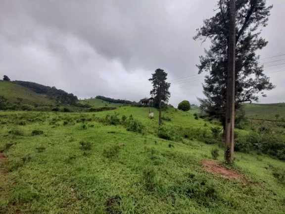 Imagem Fazenda à venda em Antônio Carlos, 540ha
