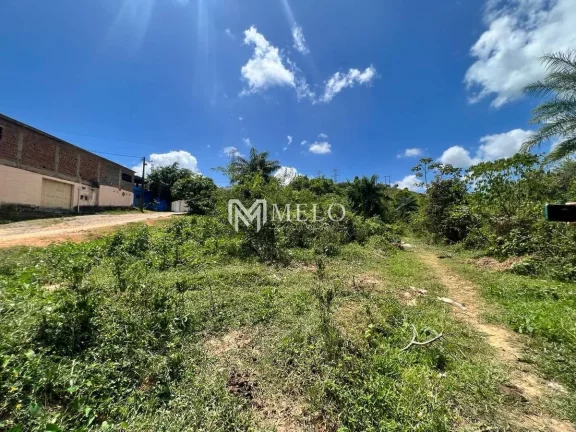 Imagem ÁREA DE 6.000m², em Jaboatão Velho..