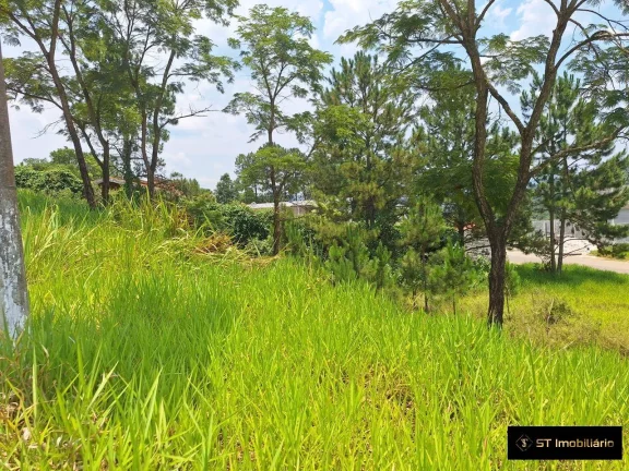 Imagem Terreno Ótima Localização Nazaré - Próximo a Dom Pedro