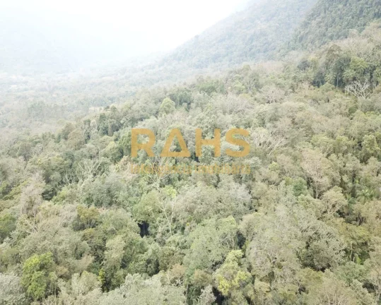 Imagem A liberdade de viver em um ambiente em meio a muita natureza. Excelente chácara, escriturada a vend...