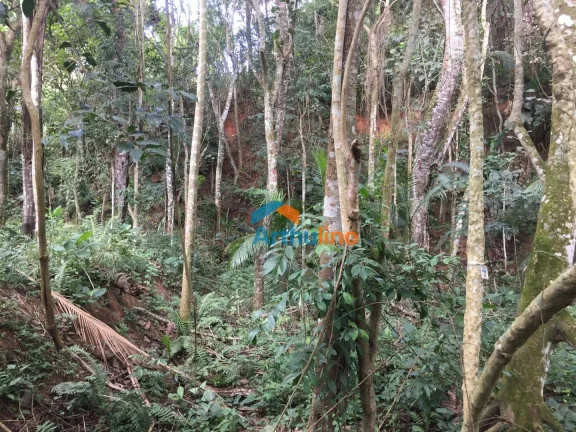 Imagem Terreno à venda, 1571 m² por R$ 450.000,00 - Chácara Represinha - Cotia/SP