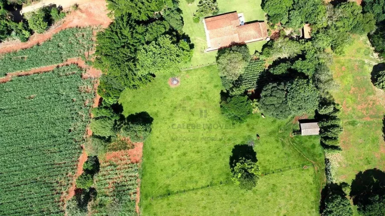Imagem Chácara com 3 dormitórios à venda, 25000 m² por R$ 800.000,00 - Campininha - Cesário Lange/SP