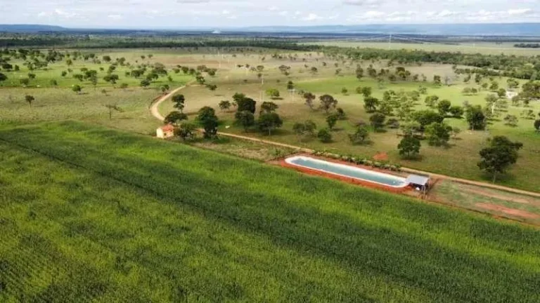 Imagem Oportunidade Única! Fazenda de Alto Potencial em Várzea da Palma - Conheça Agora!