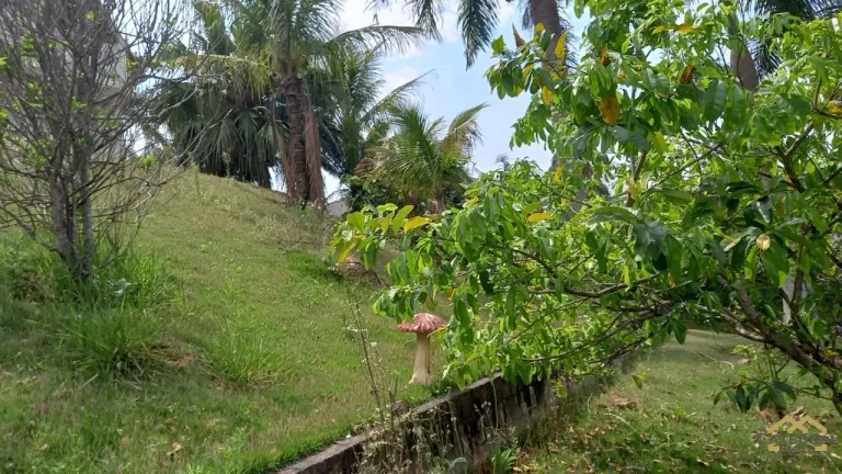 Imagem Chácara a venda, com chalé de 221 m² - Medeiros - Jundiaí /SP