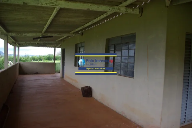 Imagem Fazenda 40 alqueires com estrutura, casa, água, energia, altitude para plantar café e gado, cidade Santo Antônio da Alegria - SP