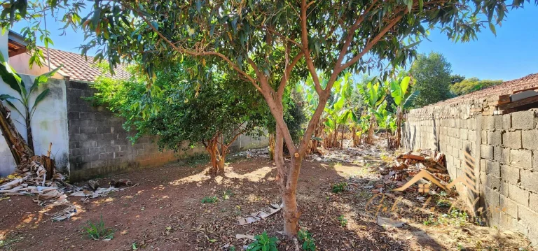 Imagem Casa Padrão no bairro tucura