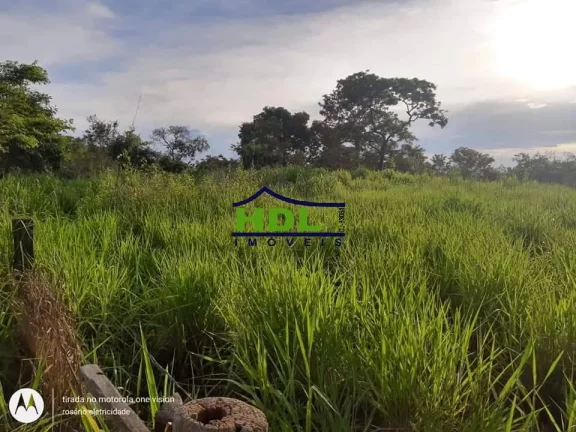 Imagem Fazenda 318 Alqs Barranca do Rio Araguaia em Araguaiana/MT