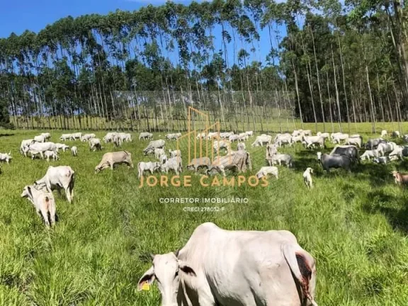 Imagem FA-24135 - FAZENDA À VENDA EM GUARATINGUETÁ/SP