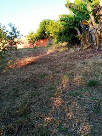 Imagem CHÁCARA A 3 QUILÔMETROS DE FRANCA!