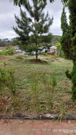 Imagem Terreno à venda, 567 m² por R$ 265.000,00 - Ipelândia - Suzano/SP
