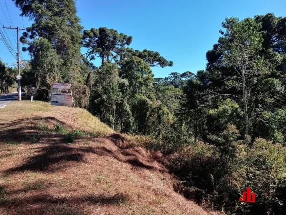Imagem Área a Venda Com 5.860,00 m² na Região do Morro do Elefante.