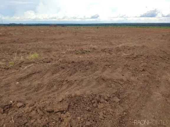 Imagem Fazenda à Venda, 10.260.000 m² em Zona Rural - São Valério Da Natividade