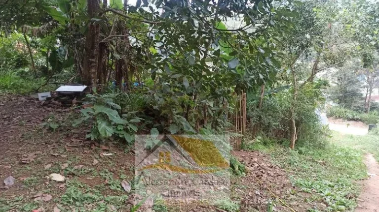 Imagem Vendo Terreno com 7800 mts² em Varginha