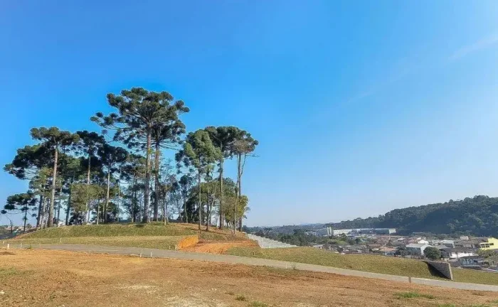 Imagem Residencial das Araucárias