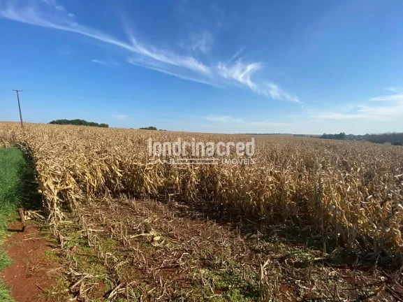 Imagem Chácara à venda Zona Rural, Serranópolis do Iguaçu - PR