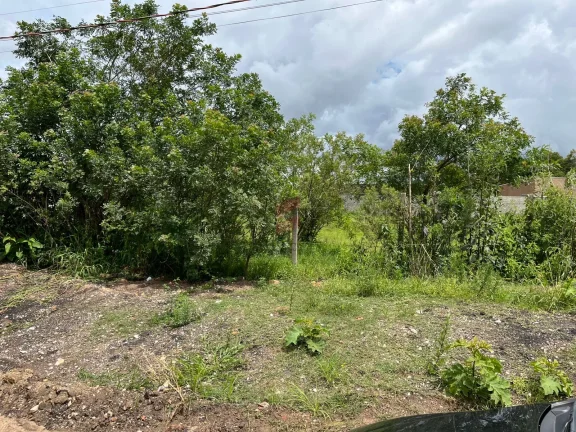 Imagem ÁREA à venda com 3363.3m² por R$ 1.400.000,00 no bairro Canguiri - COLOMBO / PR