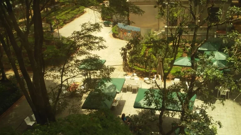 Imagem Laje comercial na Paulista - Casa das Flores