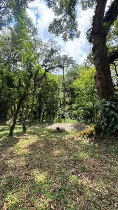Imagem Chácara com 3 dormitórios e 2 vagas de garagem em Salto do Engenho | Campo Alegre/SC