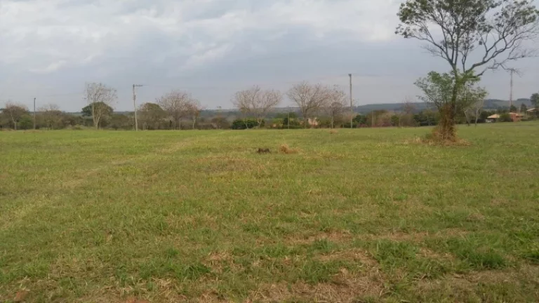 Imagem VENDA, TERRENO COND. RESIDENCIAL PALMAS DEL REY, 4.475,40 m²