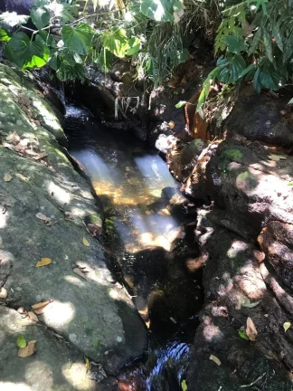 Imagem Paraty Terrenos Escriturados Front Mar