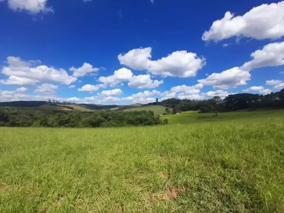 Imagem Fazenda à venda em Ibertioga, ZONA RURAL, 148ha