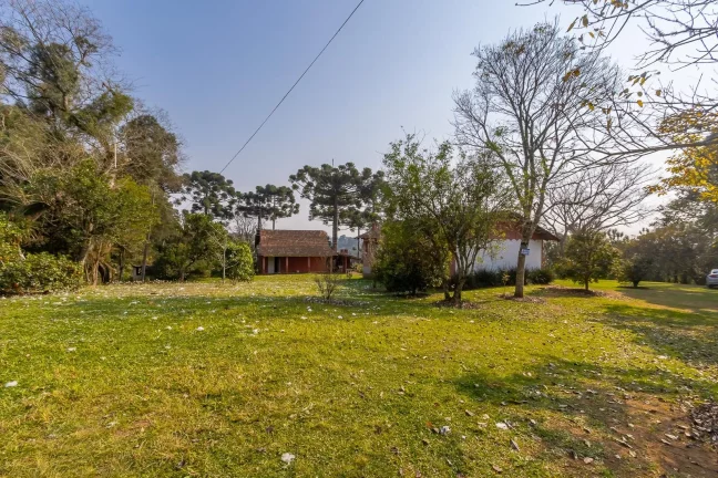 Imagem Chácara 62.550m² no Rondinha - Campo Largo