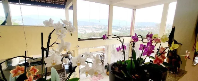 Imagem Chácara à venda, 1000 m² por R$ 1.300.000,00 - Jardim Estância Brasil - Atibaia/SP