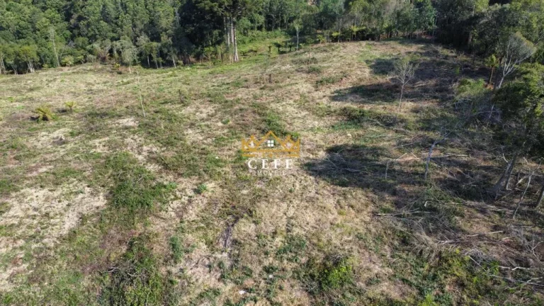 Imagem Chácara - Sítio com 2 Dormitorio(s) localizado(a) no bairro Linha Tapera em Gramado / RIO GRANDE DO SUL Ref.:1516