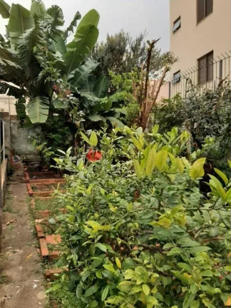 Imagem Casa à venda 2 Quartos, 2 Vagas, 187M², Barcelona, São Caetano do Sul - SP