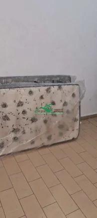 Imagem Casa Padrão