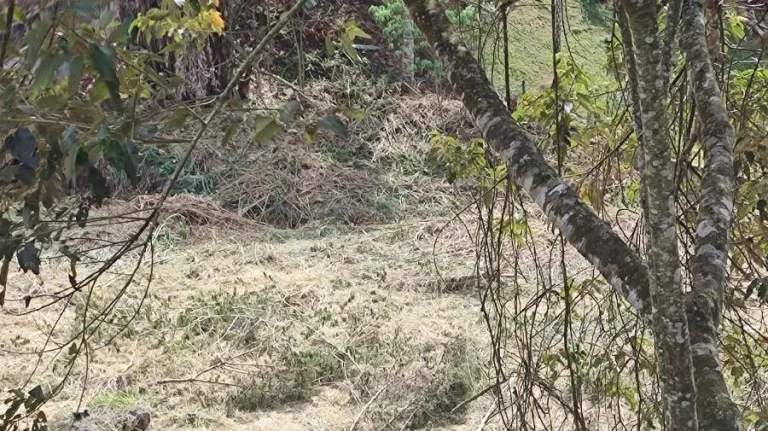 Imagem Terreno para Venda por R$500.000,00 - Arujazinho, Arujá / SP - Cód. BDI37422