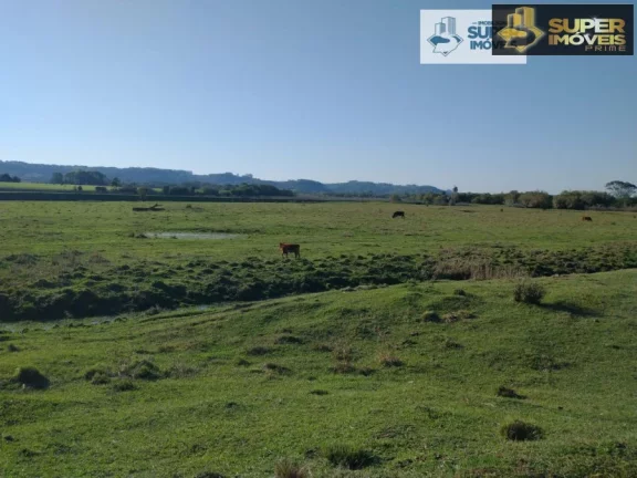Imagem Fazenda Pecuária de excelência para Venda em Cristal-RS