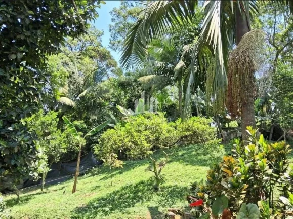 Imagem Chácara 1.600m², Escritura, 3 Quartos, sendo 2 Suítes, Vários pé frutas, no Rio Grande da Serra-SP