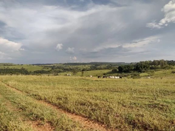 Imagem Sítio a VENDA, Avaí/SP, Área Rural, 10 alqueires
