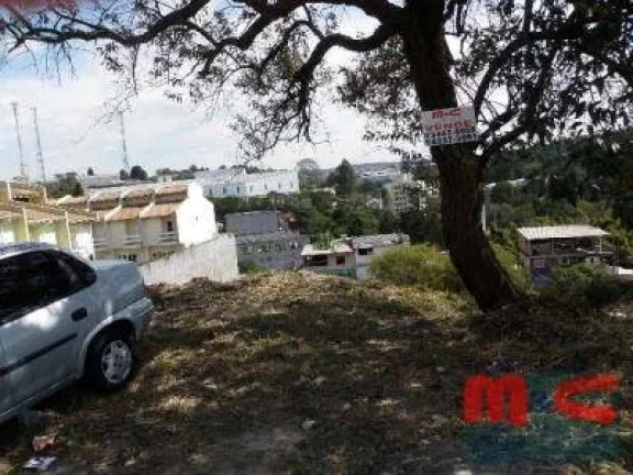 Imagem Comercial - Cotia - Pq. Rincao