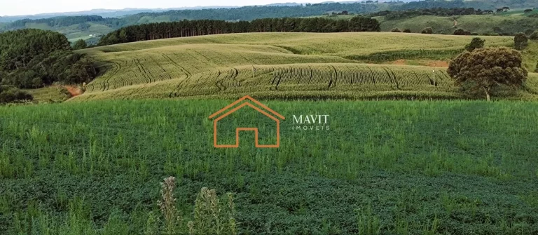 Imagem SITIO RURAL em CAMPO BELO DO SUL - SC, interior