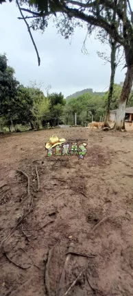 Imagem Chácara em Suzano