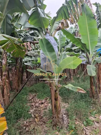 Imagem SI-25254 - SÍTIO À VENDA EM SETE BARRAS-SP
