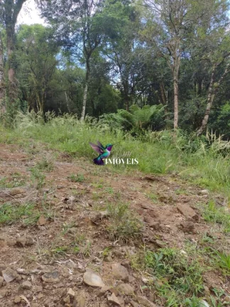 Imagem Terreno à venda no bairro Santa Terezinha em Canela/RS