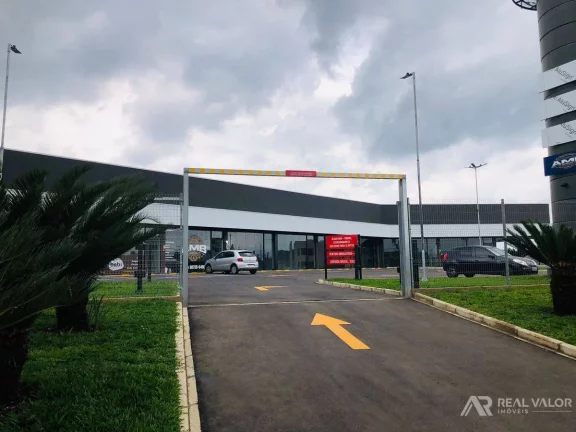 Imagem Comercial, Eucaliptos - Fazenda Rio Grande