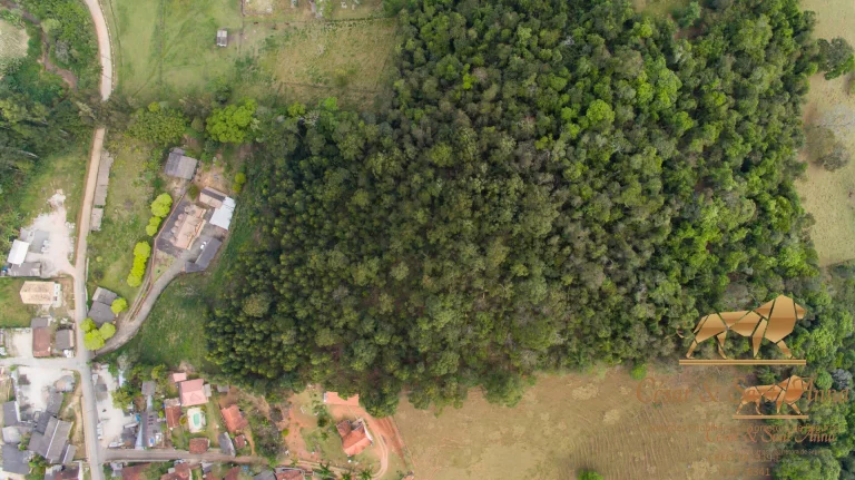 Imagem Lindo Sítio No Bairro Zé da Rosa - Campos do Jordão