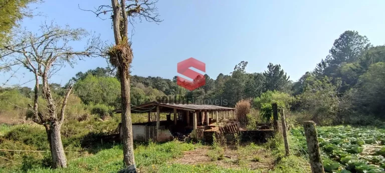 Imagem Chácara com 48.852m2 a 1Km do Alphaville Paraná em região de alto padrão