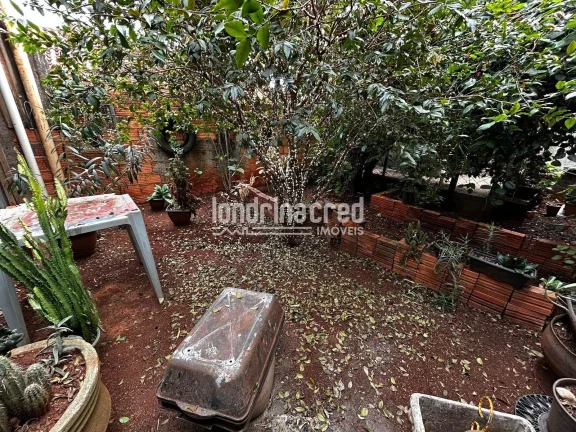 Imagem Casa Térrea na Zona Norte: Espaço de Sobra para Sua Família e Seus Sonhos!