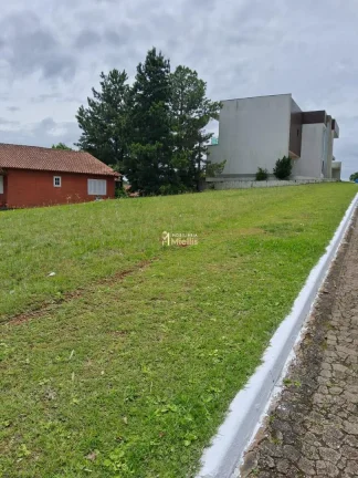 Imagem Terreno-Lote Residencial com 6 Dormitorio(s) localizado(a) no bairro Elsa em Viamão / Rio Grande do Sul Ref.:57580897