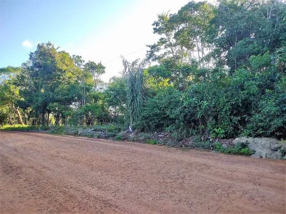 Imagem Terreno para incorporação imobiliária em Mata de São João BA