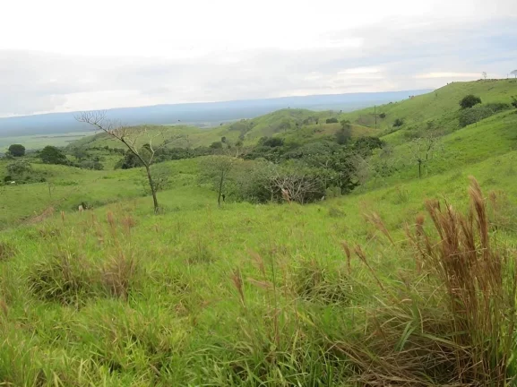 Imagem Fazenda a venda em Pontes e Lacerda - MT