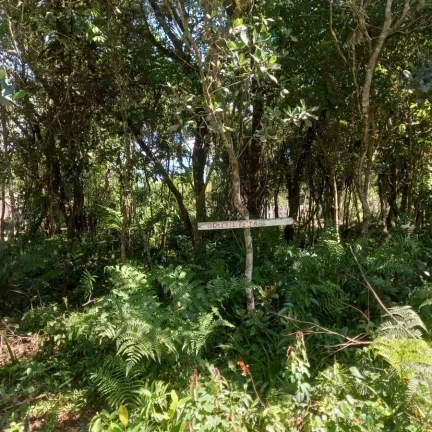 Imagem Terreno para Venda em Itanhaém, Jd Marambá