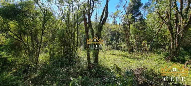 Imagem Chácara - Sítio com 4 Dormitorio(s) localizado(a) no bairro Linha Bonita em Gramado / RIO GRANDE DO SUL Ref.:1423