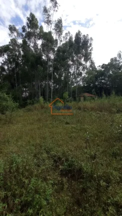 Imagem Sítio à venda no bairro Jardim Primavera - Mogi Mirim/SP