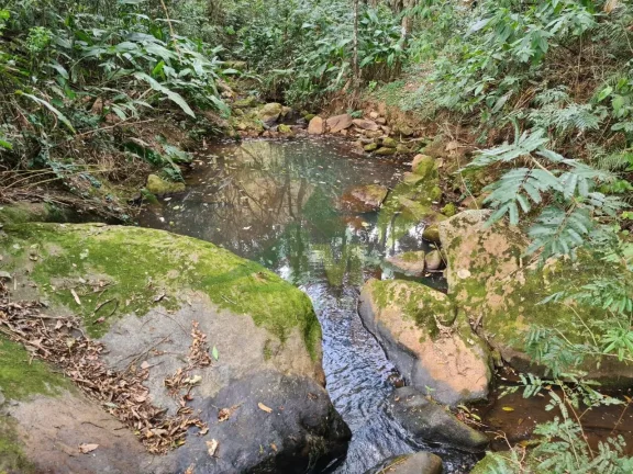 Imagem Lindo sítio à Venda em Piracaia